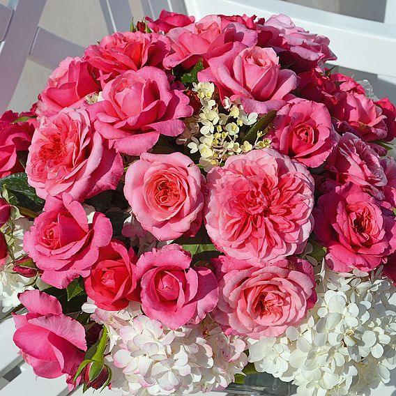 Rose Home Florist Timeless Collection